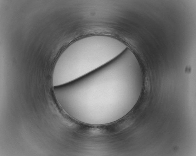X0000112860453200908211059