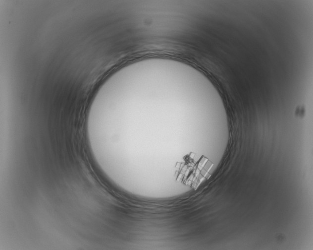 X0000112860456200908211059
