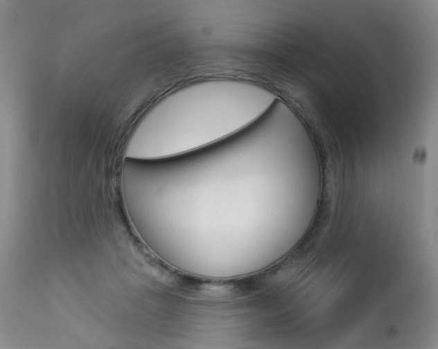 X0000112860457200908211059
