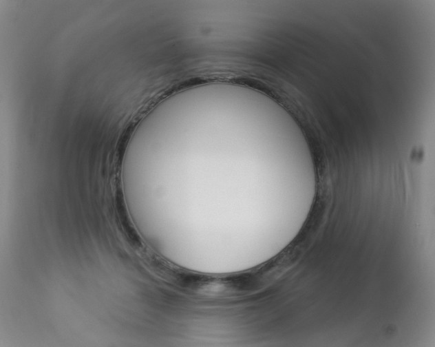 X0000112860460200908211059