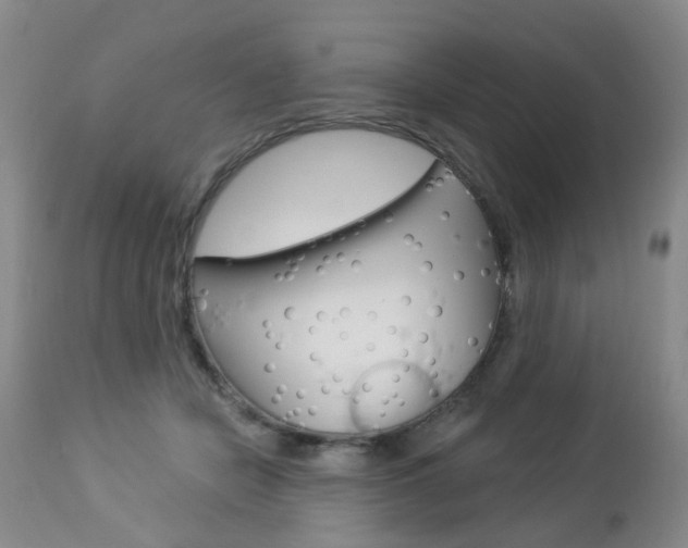 X0000112860462200908211059
