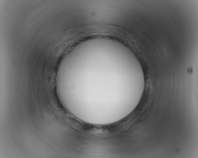 X0000112860464200908211059