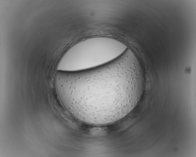 X0000112860465200908211059