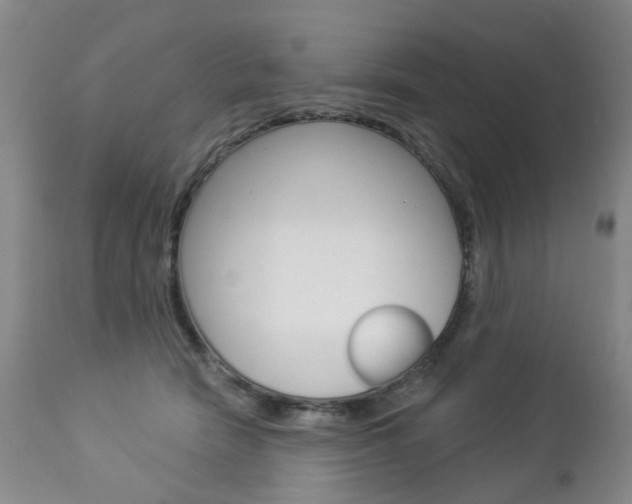 X0000112860466200908211059