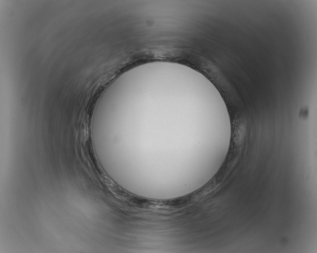 X0000112860471200908211059