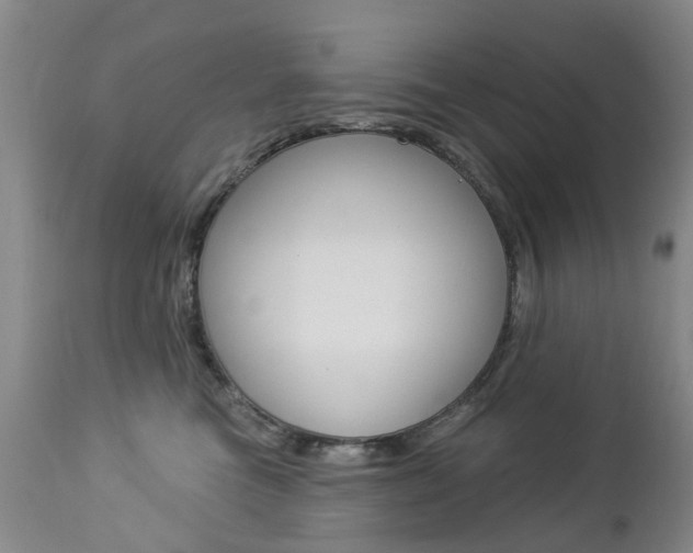 X0000112860473200908211059