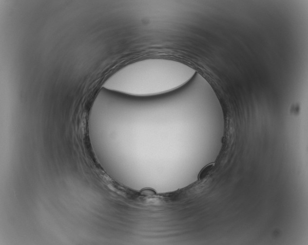 X0000112860475200908211059