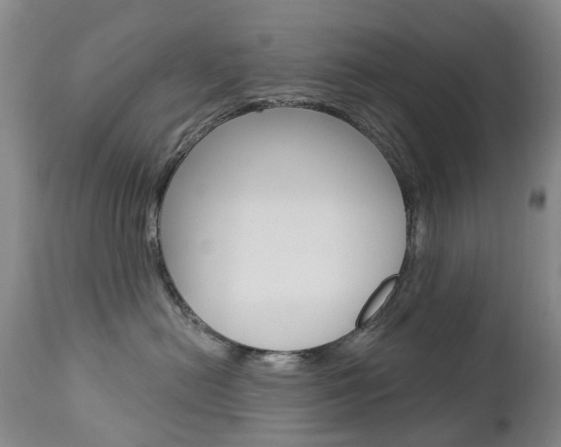 X0000112860478200908211059