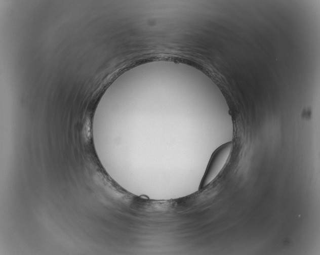 X0000112860479200908211059