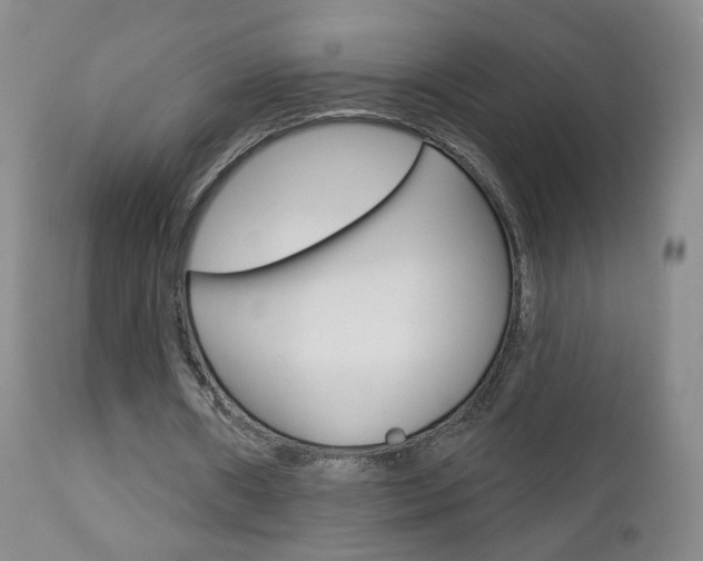 X0000112860482200908211059