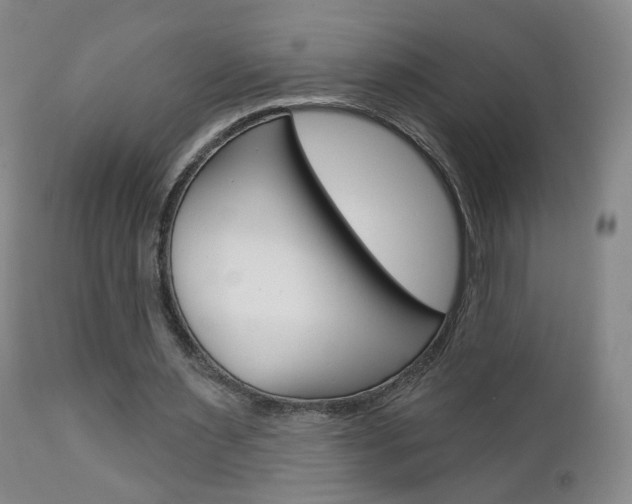 X0000112860483200908211059