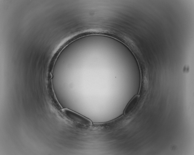 X0000112860484200908211059
