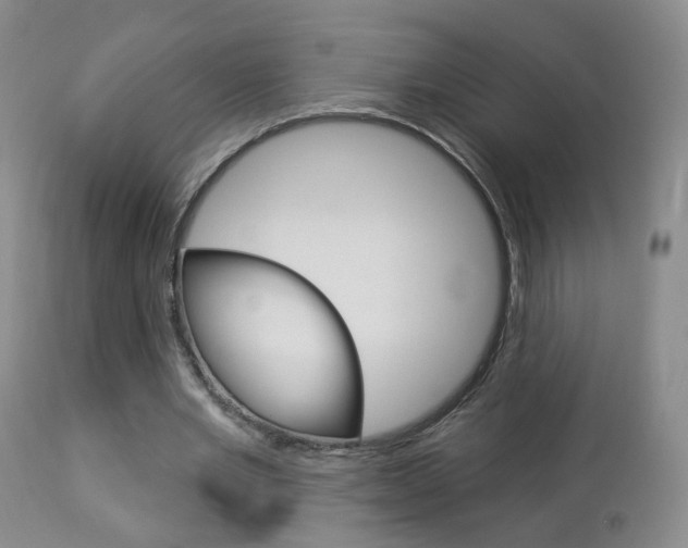 X0000112860485200908211059