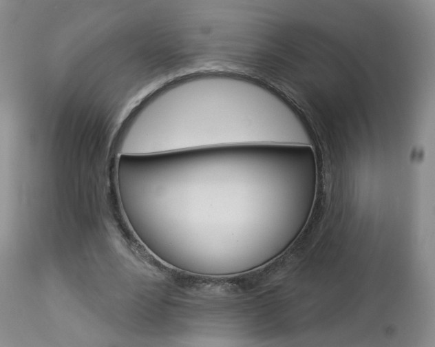 X0000112860488200908211059