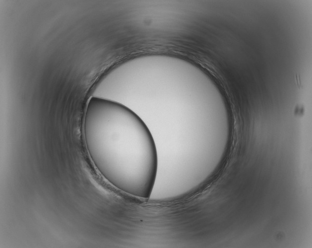 X0000112860489200908211059