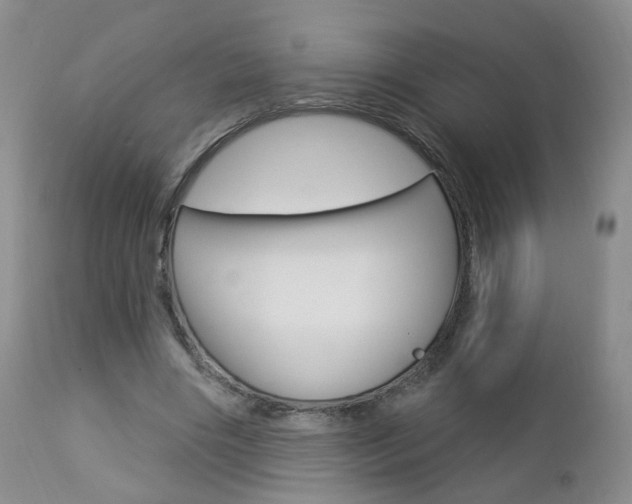 X0000112860490200908211059