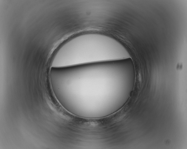 X0000112860492200908211059