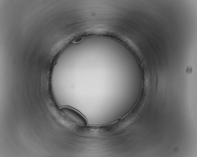 X0000112860493200908211059