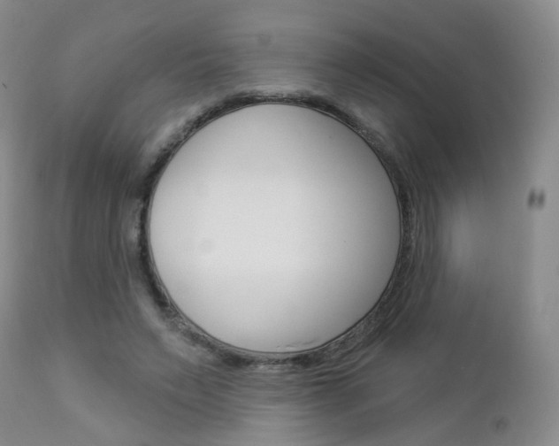 X0000112860495200908211059