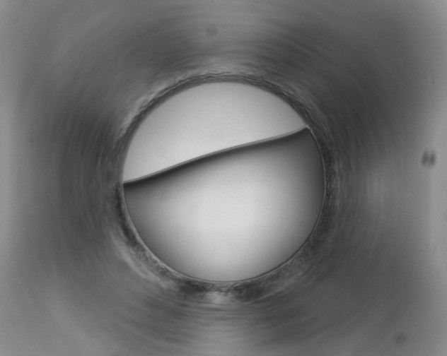 X0000112860496200908211059