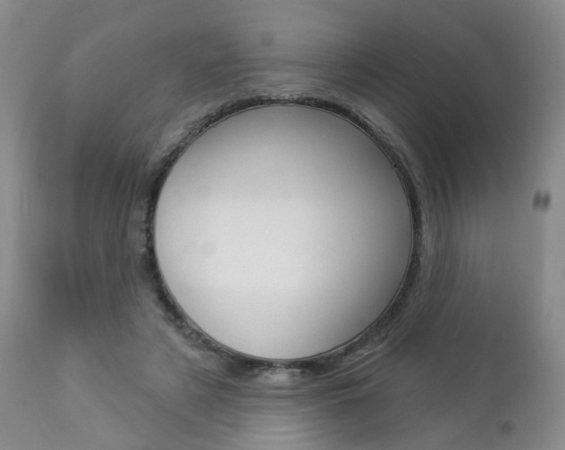 X0000112860497200908211058