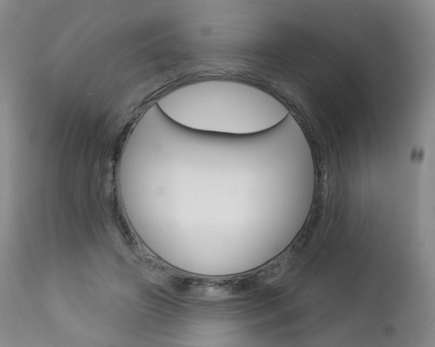 X0000112860498200908211058
