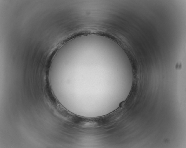 X0000112860500200908211058