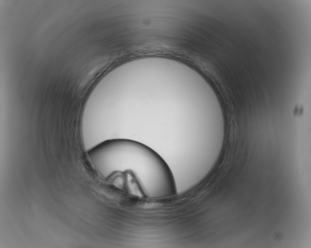 X0000112860501200908211058