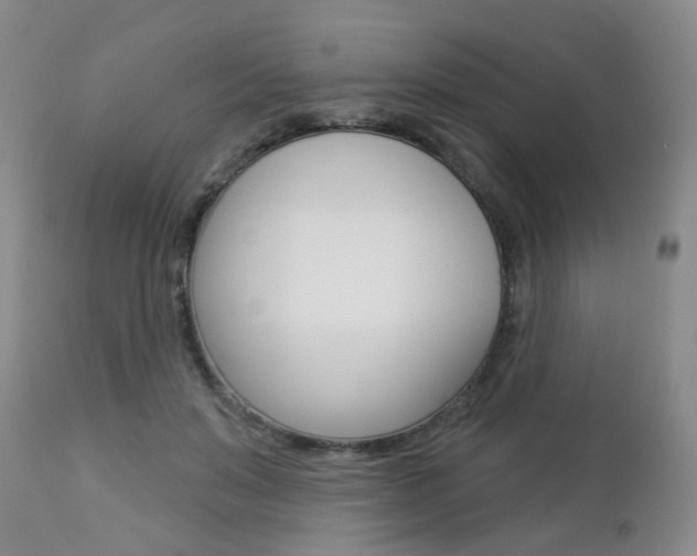 X0000112860503200908211058