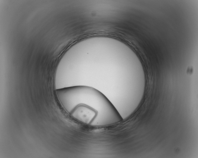 X0000112860505200908211058
