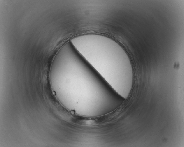 X0000112860509200908211058