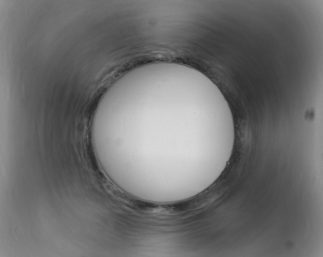 X0000112860511200908211058