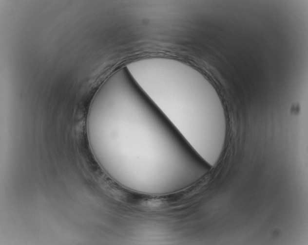 X0000112860513200908211058
