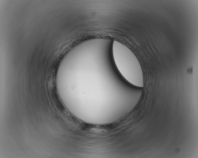 X0000112860515200908211058