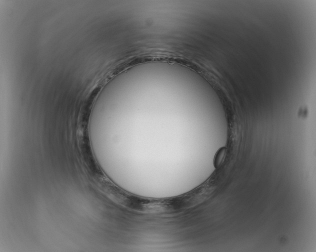 X0000112860516200908211058