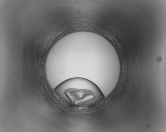 X0000112860517200908211058