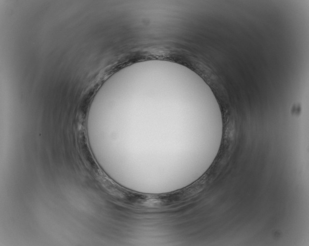 X0000112860518200908211058
