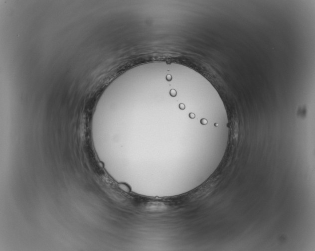X0000112860519200908211058