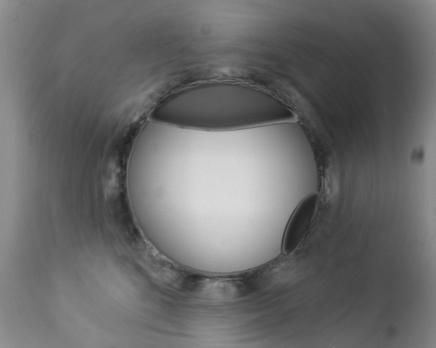 X0000112860520200908211058