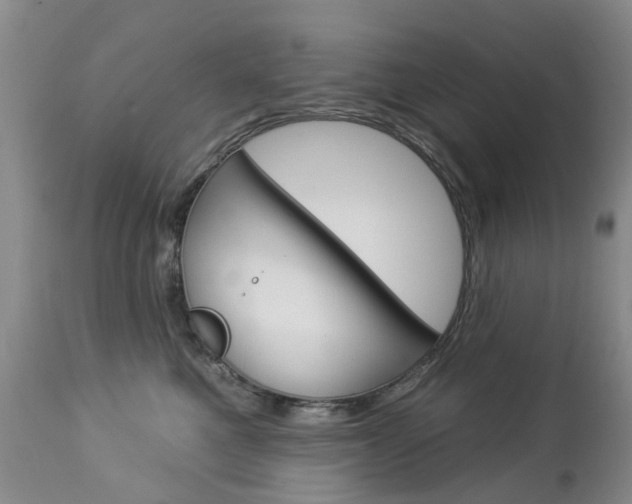 X0000112860521200908211058