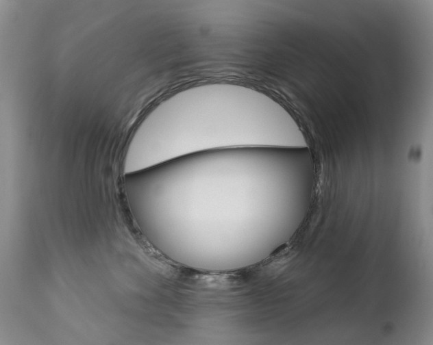 X0000112860524200908211058