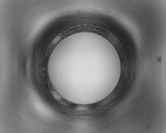 X0000112860526200908211058
