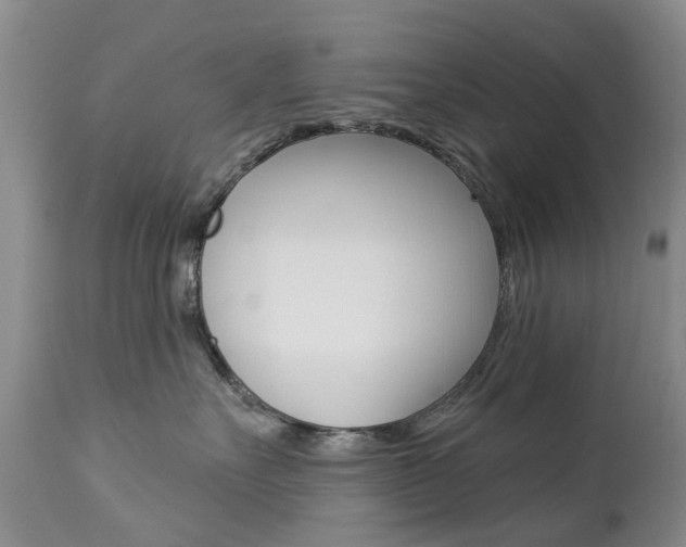 X0000112860527200908211058