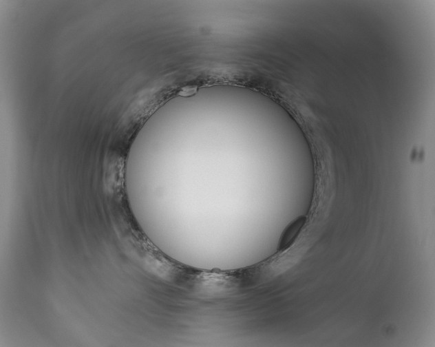 X0000112860528200908211058