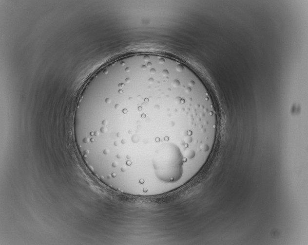 X0000112860529200908211057