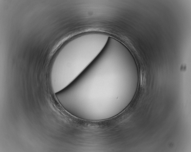 X0000112860531200908211057