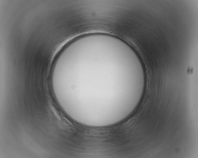 X0000112860532200908211057