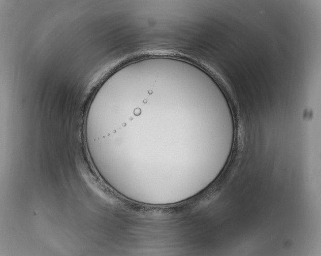 X0000112860533200908211057