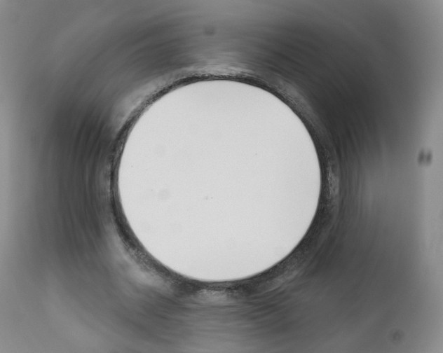 X0000112860534200908211057