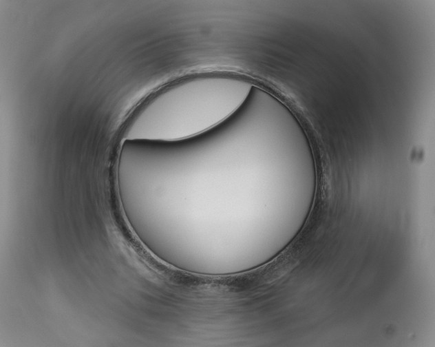X0000112860535200908211057